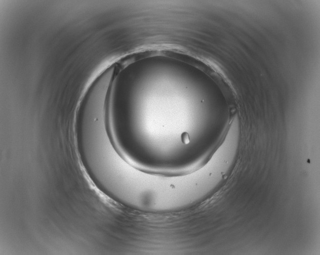 X0000078291046200611172117