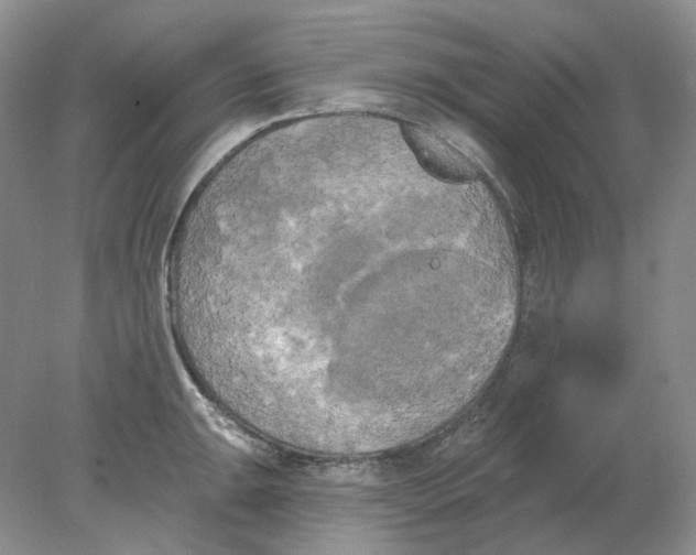 X0000078291047200611172117