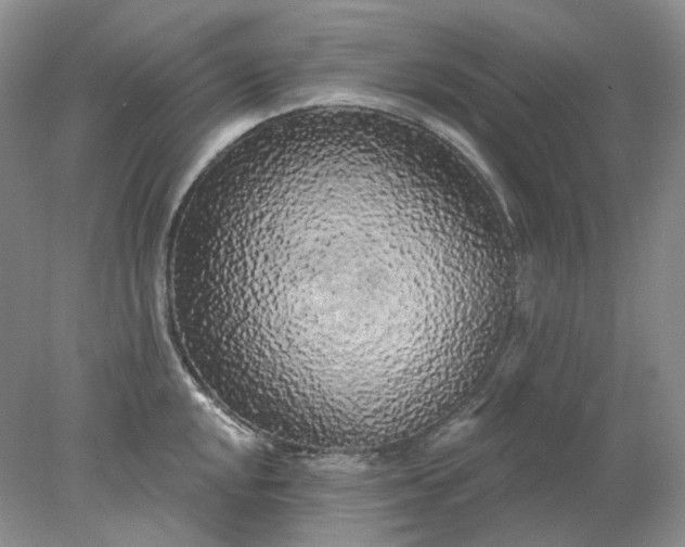 X0000078291048200611172117