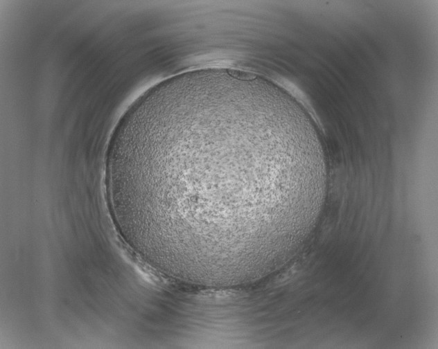 X0000078291051200611172117