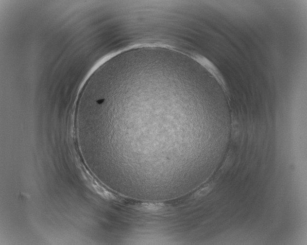 X0000078291052200611172117