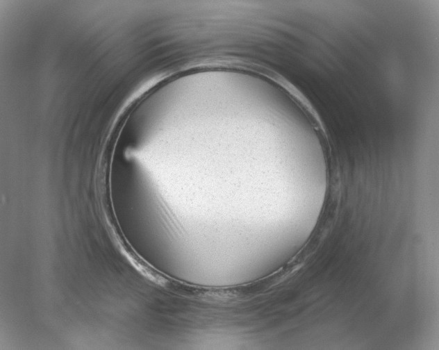 X0000078291053200611172117