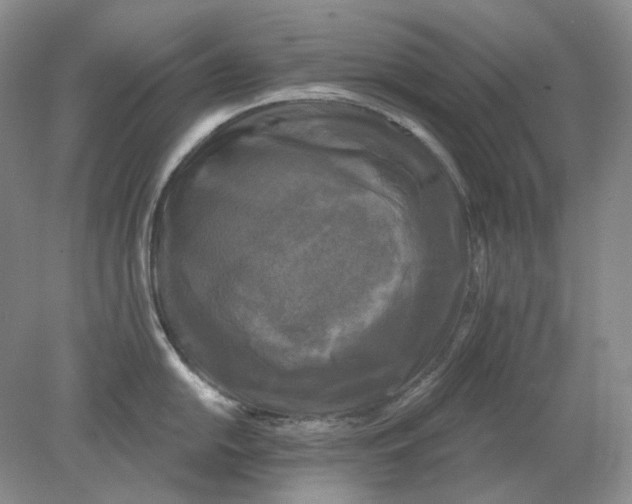 X0000078291054200611172117