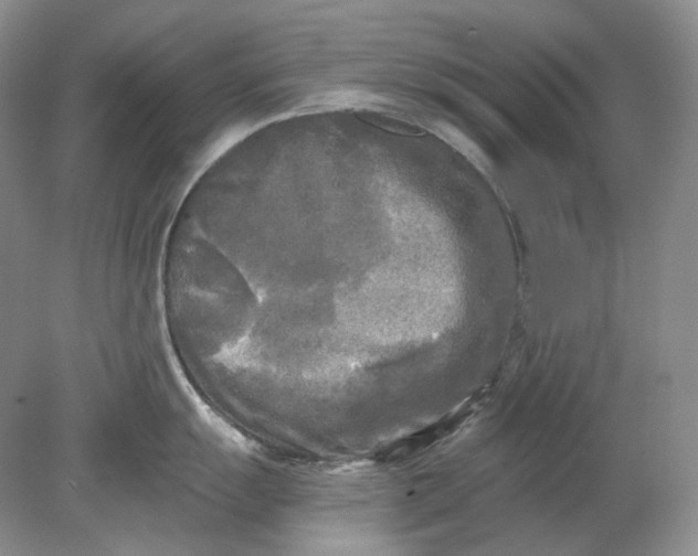 X0000078291055200611172117