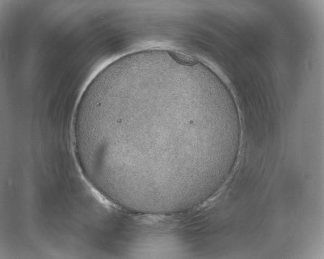 X0000078291056200611172117