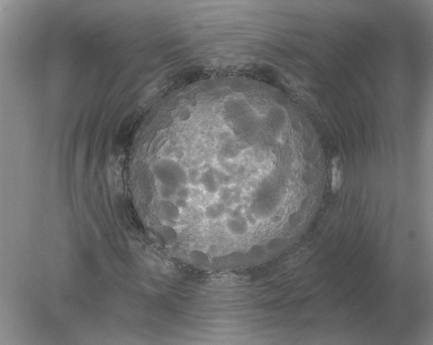 X0000078291059200611172116