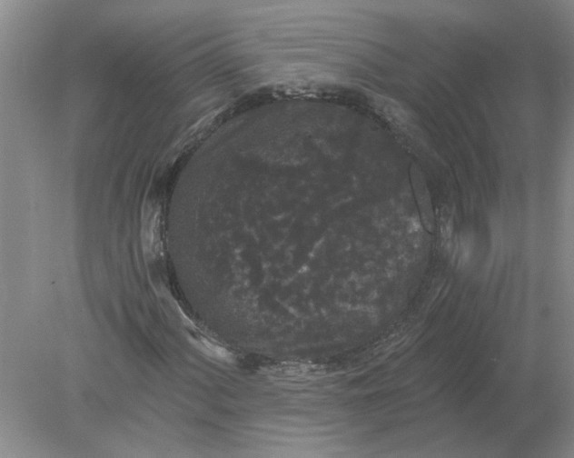 X0000078291060200611172116