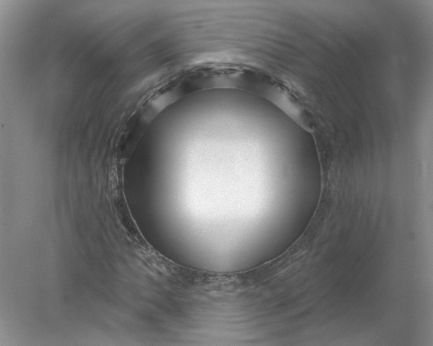 X0000078291062200611172116