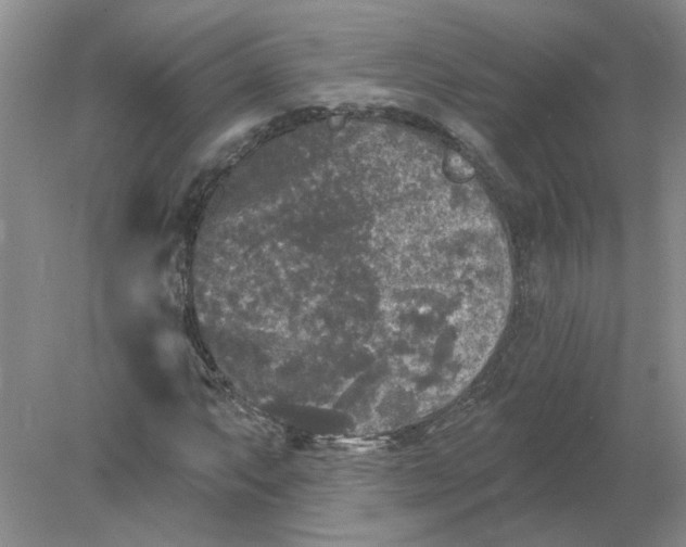 X0000078291063200611172116