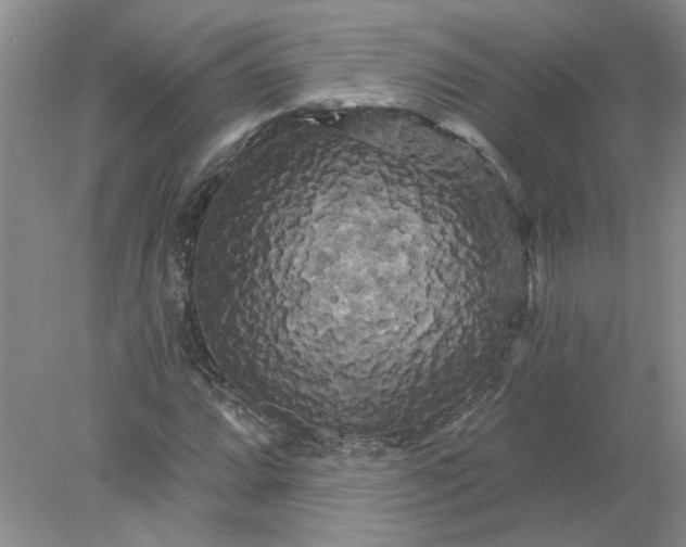 X0000078291064200611172116