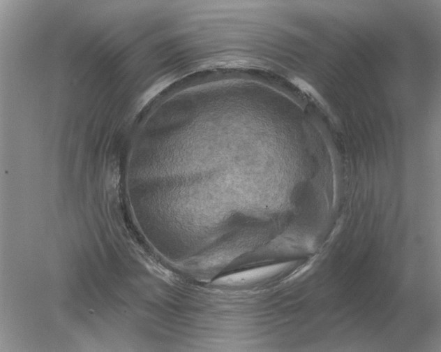 X0000078291065200611172116