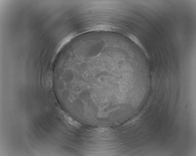 X0000078291067200611172116