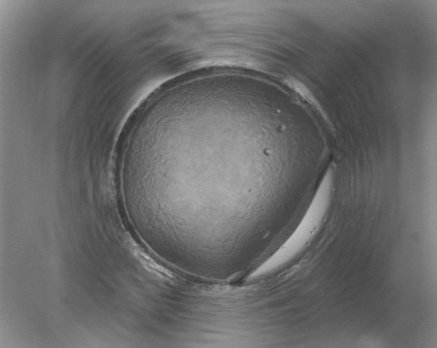 X0000078291068200611172116