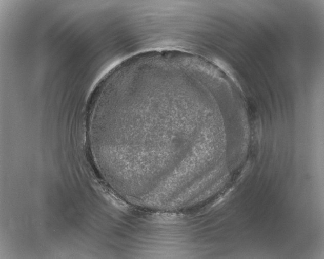 X0000078291069200611172116