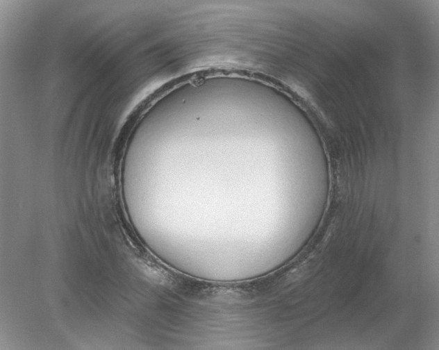 X0000078291070200611172116