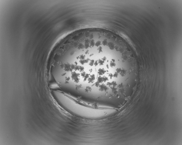 X0000078291072200611172116