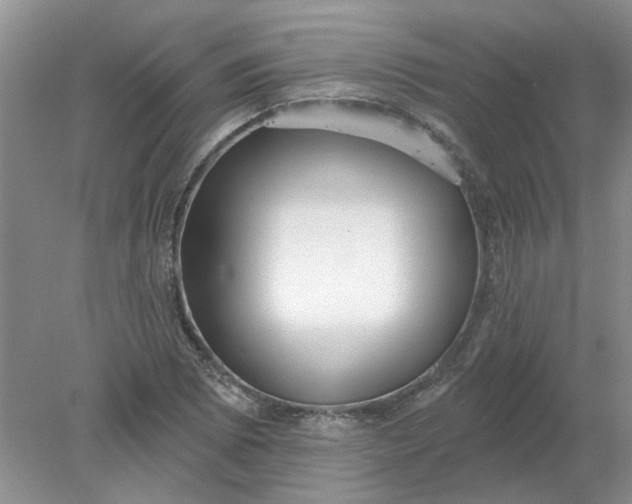 X0000078291073200611172116