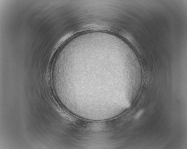 X0000078291074200611172116