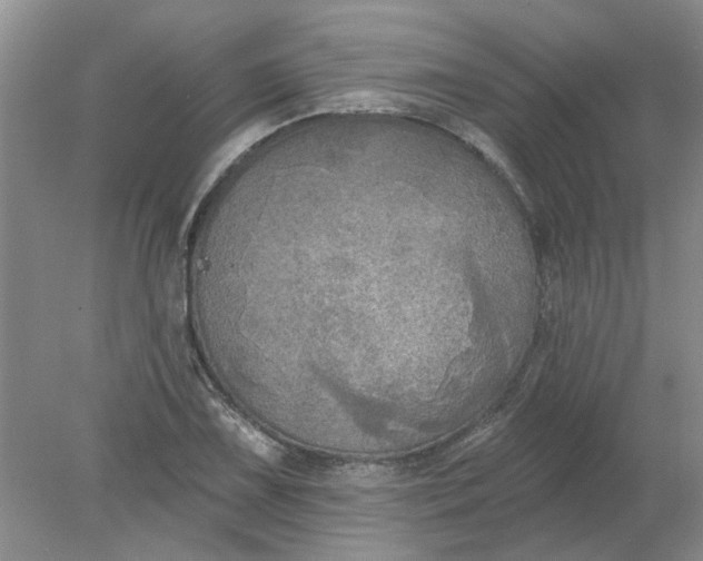 X0000078291075200611172116