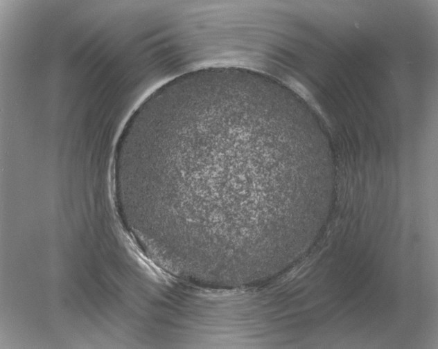 X0000078291076200611172116