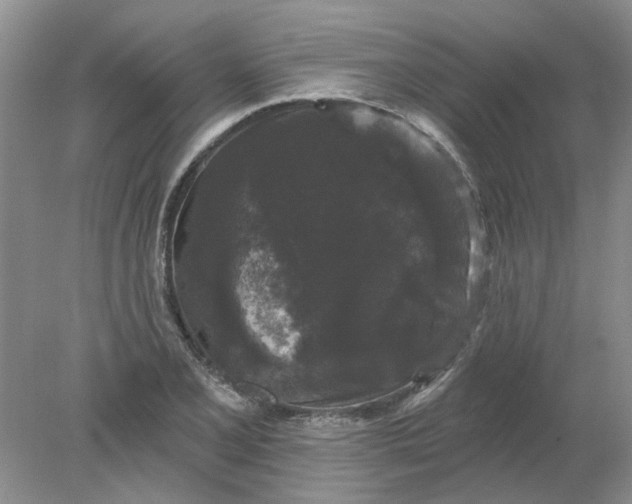 X0000078291077200611172116