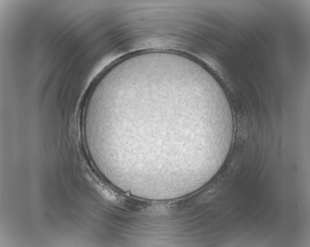 X0000078291078200611172116