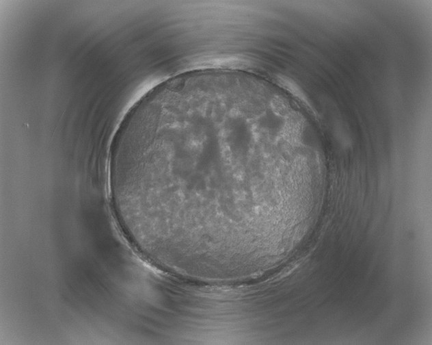 X0000078291079200611172116