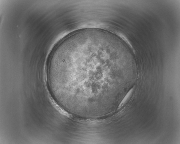 X0000078291080200611172116