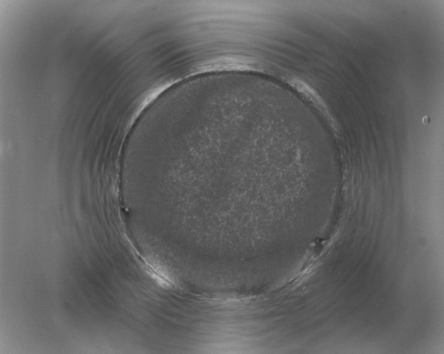 X0000078291081200611172116