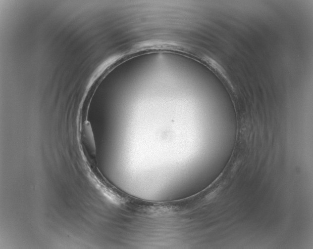 X0000078291082200611172116