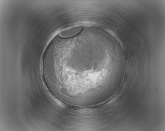 X0000078291083200611172116