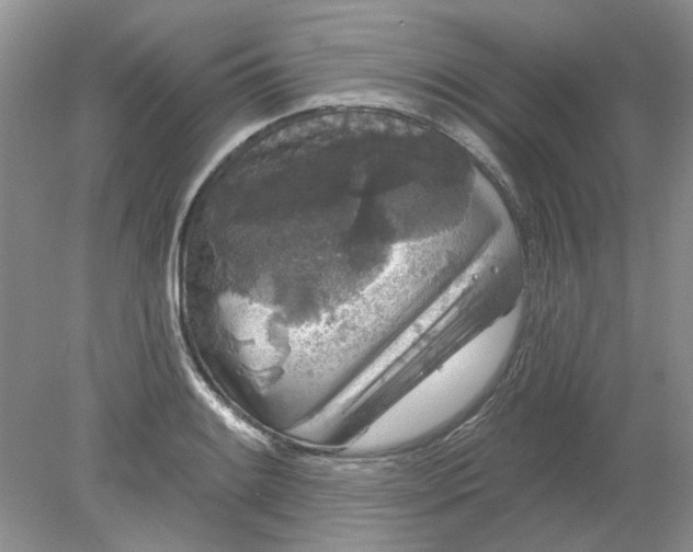 X0000078291084200611172116