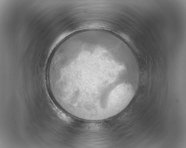 X0000078291086200611172116