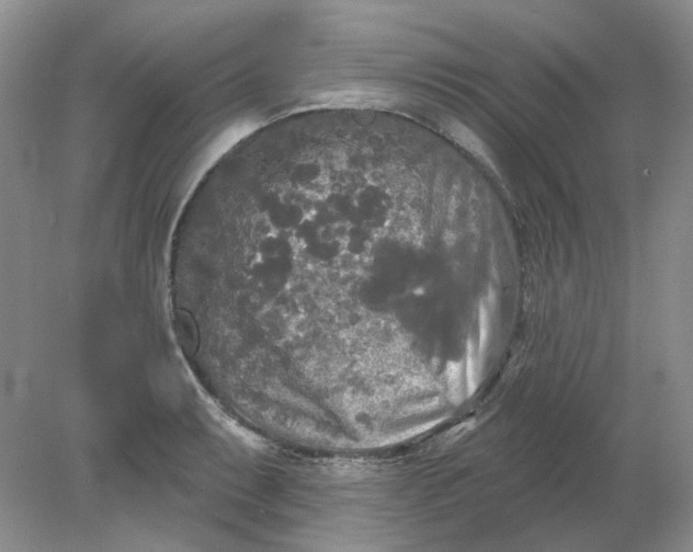 X0000078291087200611172116