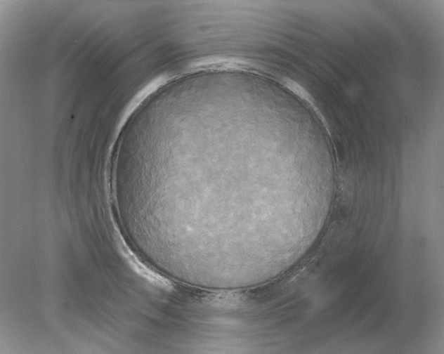 X0000078291090200611172116