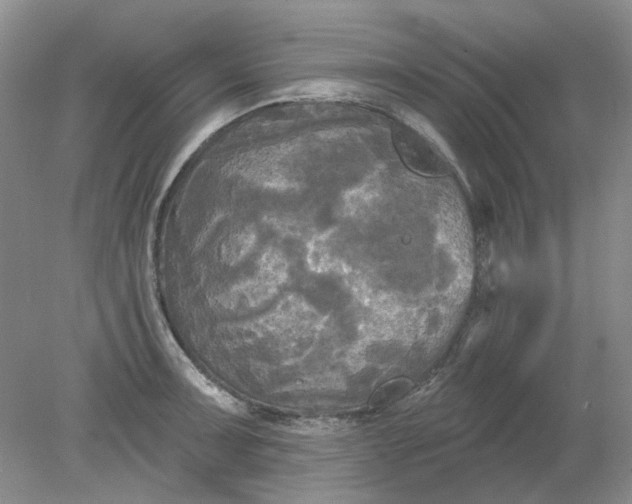 X0000078291091200611172116