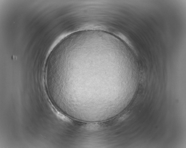 X0000078291094200611172116