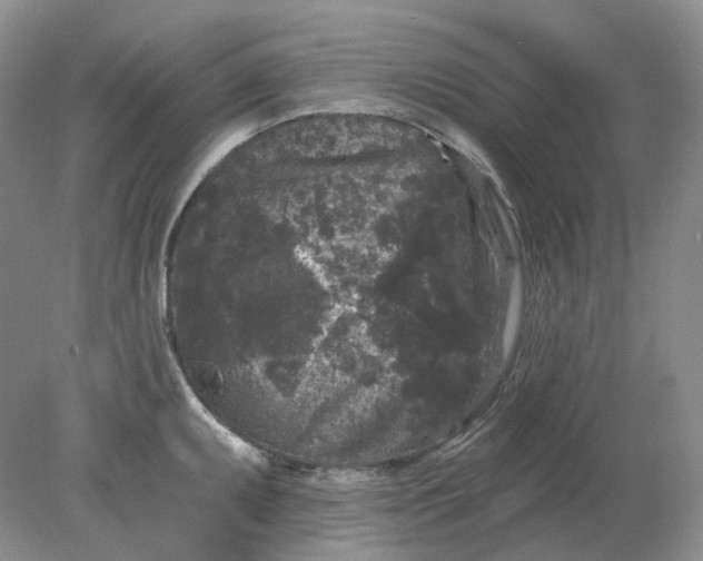 X0000078291095200611172116