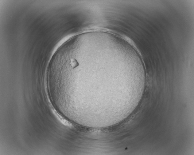 X0000078291098200611172116