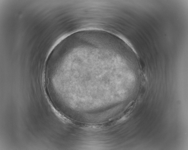 X0000078291101200611172116