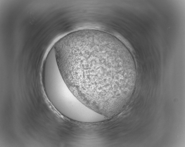 X0000078291104200611172116