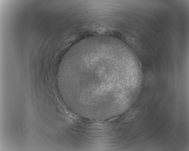 X0000078291105200611172115