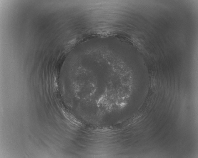 X0000078291106200611172115