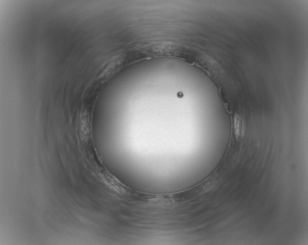 X0000078291107200611172115