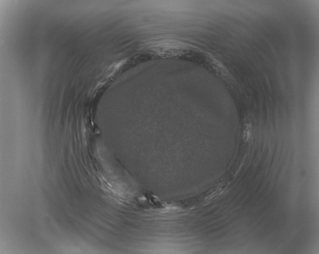 X0000078291108200611172115