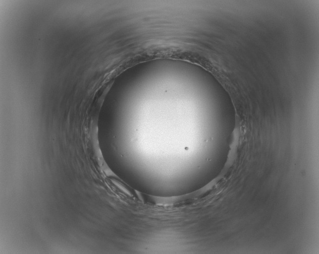 X0000078291109200611172115