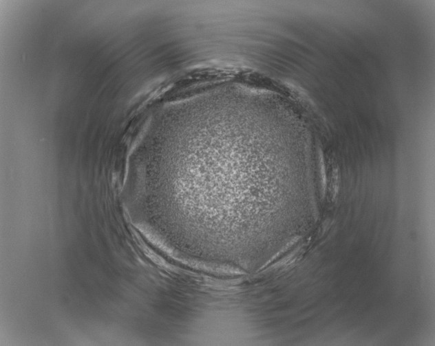 X0000078291110200611172115