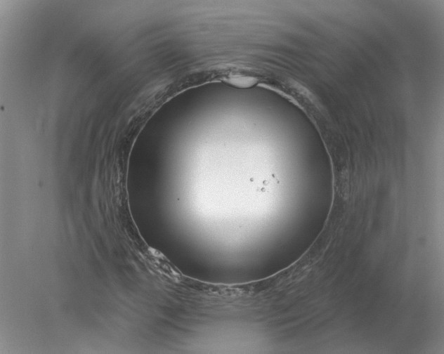 X0000078291111200611172115