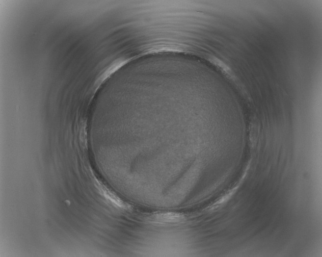 X0000078291113200611172115