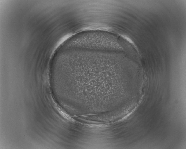 X0000078291114200611172115